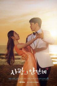 Andante of Love (2024)